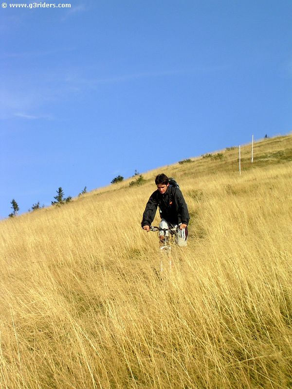 PICT8944_g3r