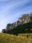 IMG_6592_g3r