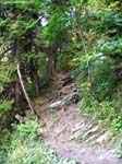 IMG_6648_g3r