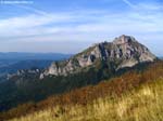 IMG_6705_g3r