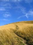 IMG_6751_g3r