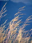 IMG_6764_g3r