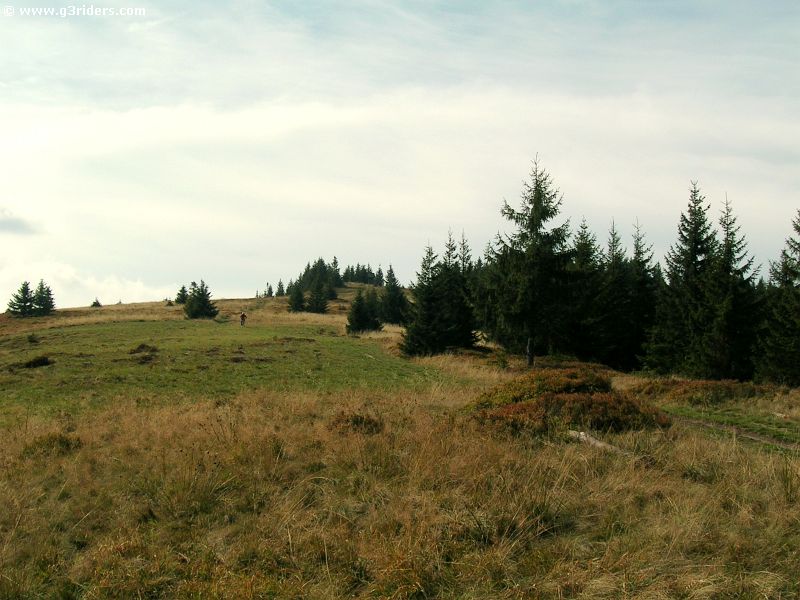 DSCN5158_g3r