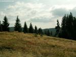 DSCN5138_g3r