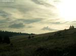 DSCN5175_g3r