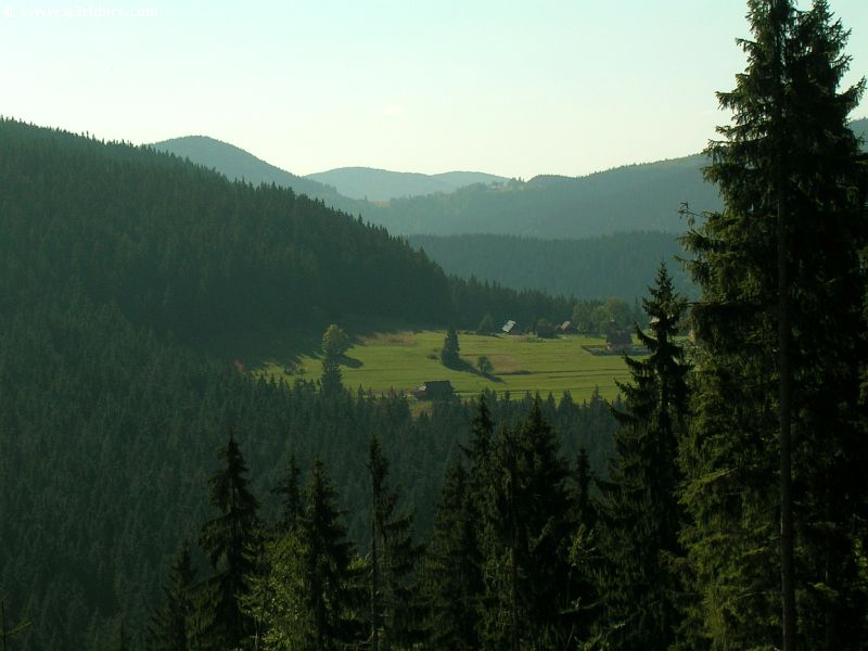 DSCN5206_g3r