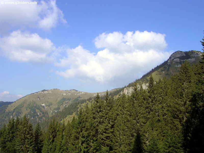 PICT9035_g3r