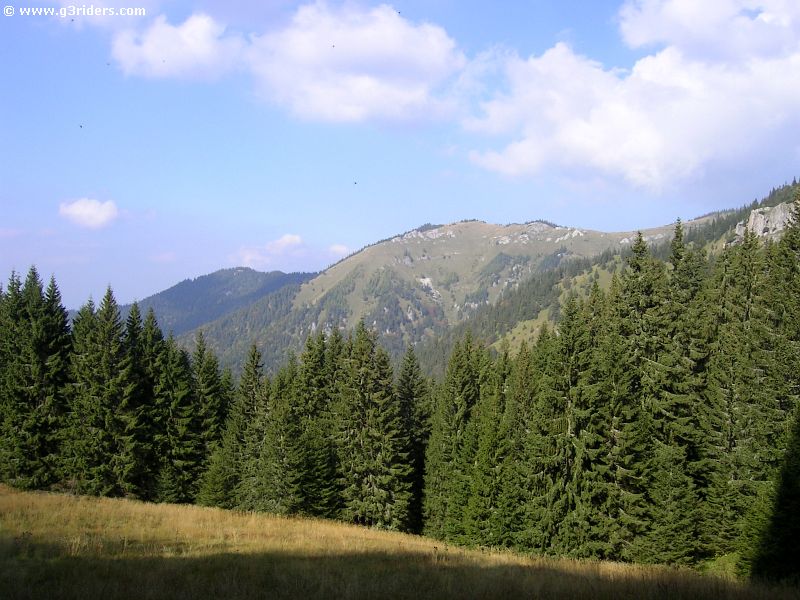 PICT9036_g3r