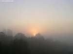 PICT9019_g3r