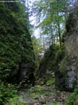PICT9033_g3r