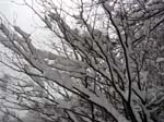 IMG_0743_g3r