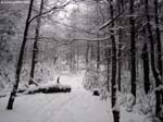 IMG_0749_g3r