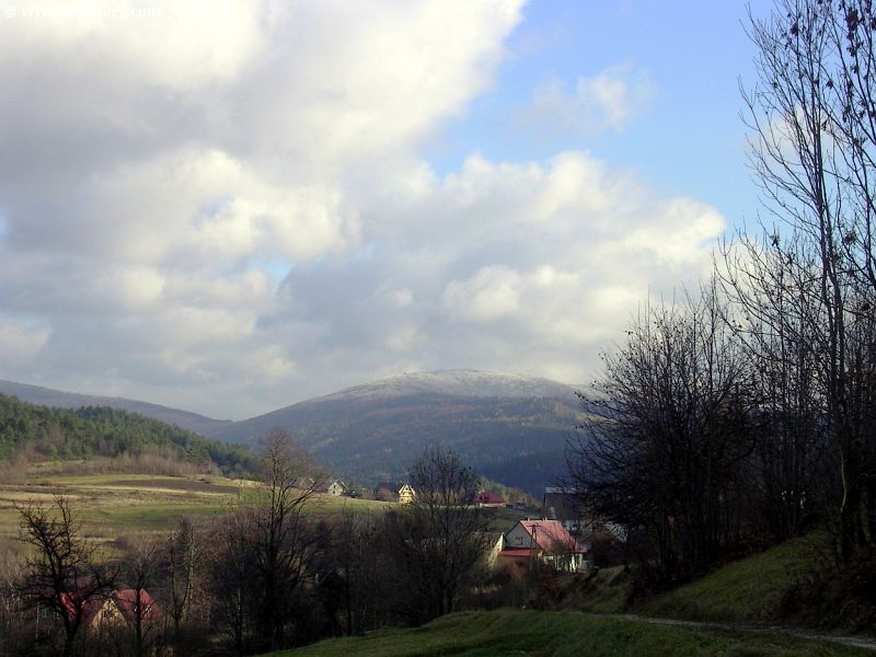 PICT9280_g3r