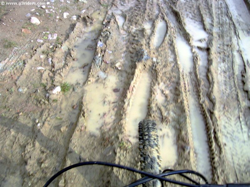 PICT9284_g3r