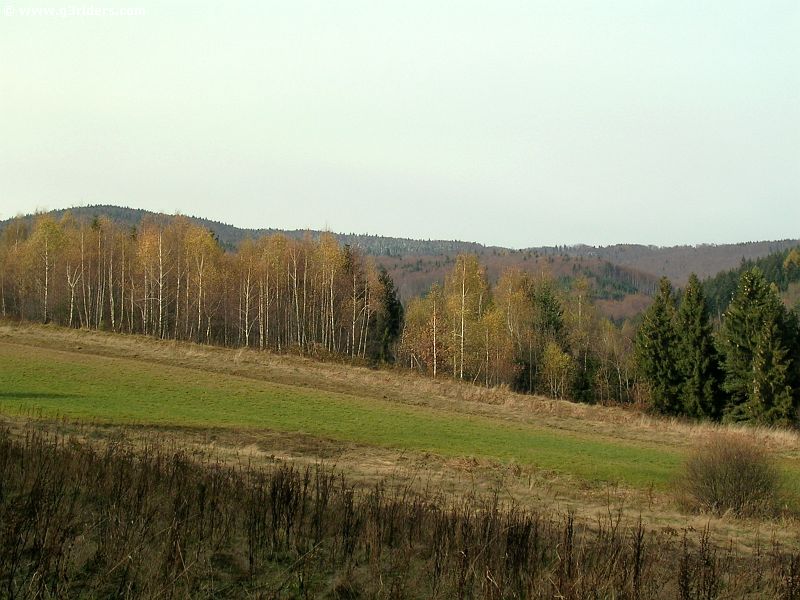 DSCN5584_g3r