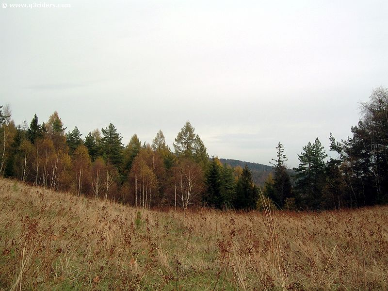 DSCN5597_g3r