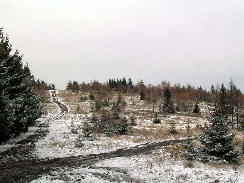 DSCN5619_g3r