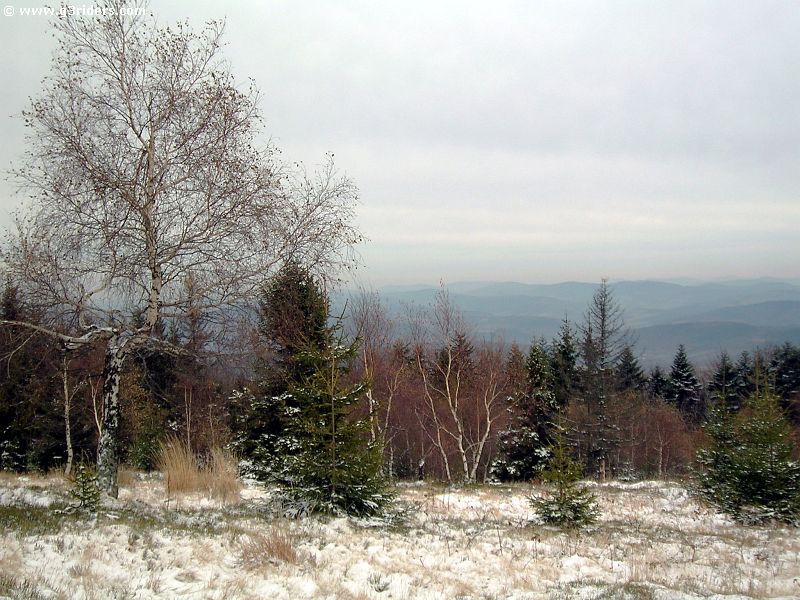 DSCN5623_g3r