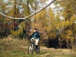 DSCN5587_g3r