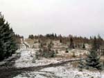 DSCN5619_g3r