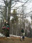 DSCN5638_g3r