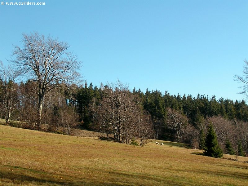 DSCN5664_g3r