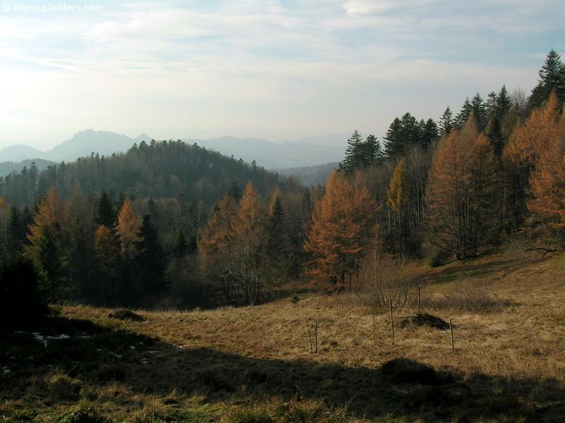 DSCN5683_g3r
