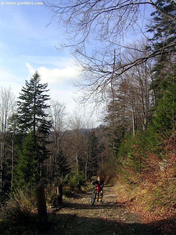 PICT9372_g3r