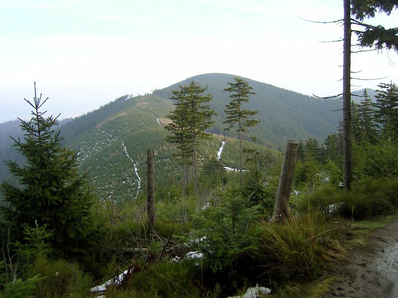 PICT9397_g3r