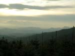 DSCN5704_g3r