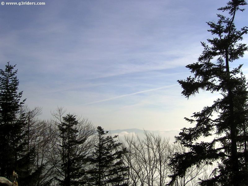 PICT9484_g3r