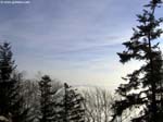 PICT9484_g3r