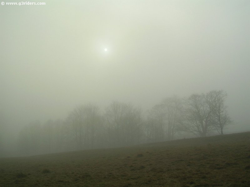 DSCN5750_g3r