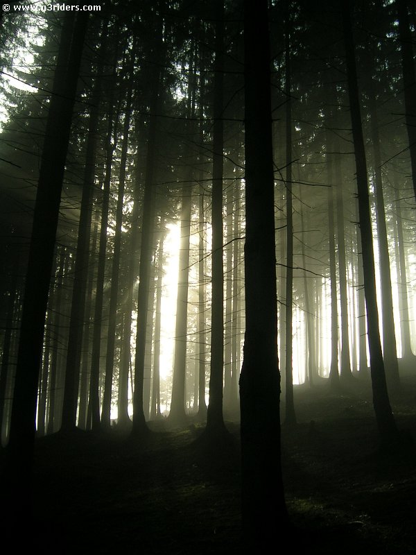 DSCN5758_g3r