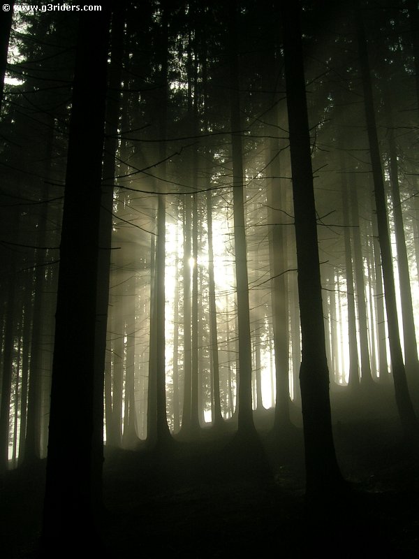 DSCN5771_g3r