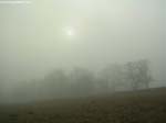 DSCN5750_g3r
