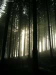 DSCN5758_g3r