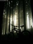 DSCN5760_g3r