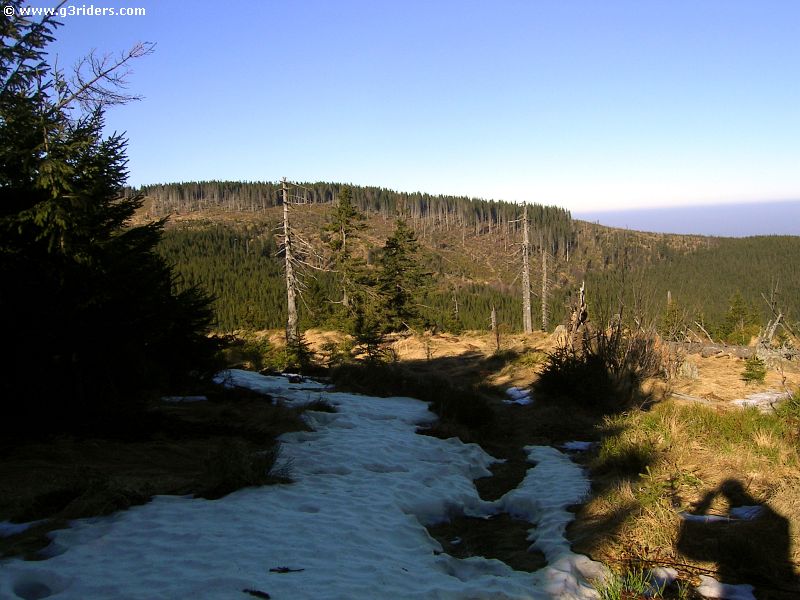 PICT9511_g3r