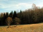 DSCN5790_g3r