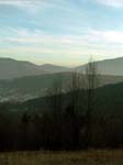 DSCN5825_g3r
