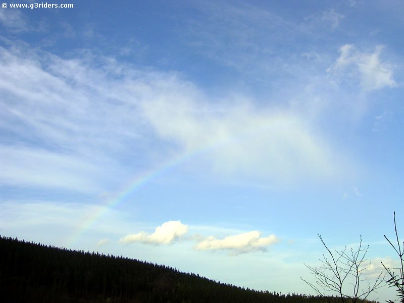PICT9564_g3r