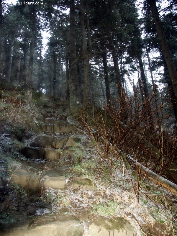 PICT4736_g3r