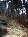PICT4736_g3r
