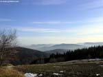 PICT9621_g3r