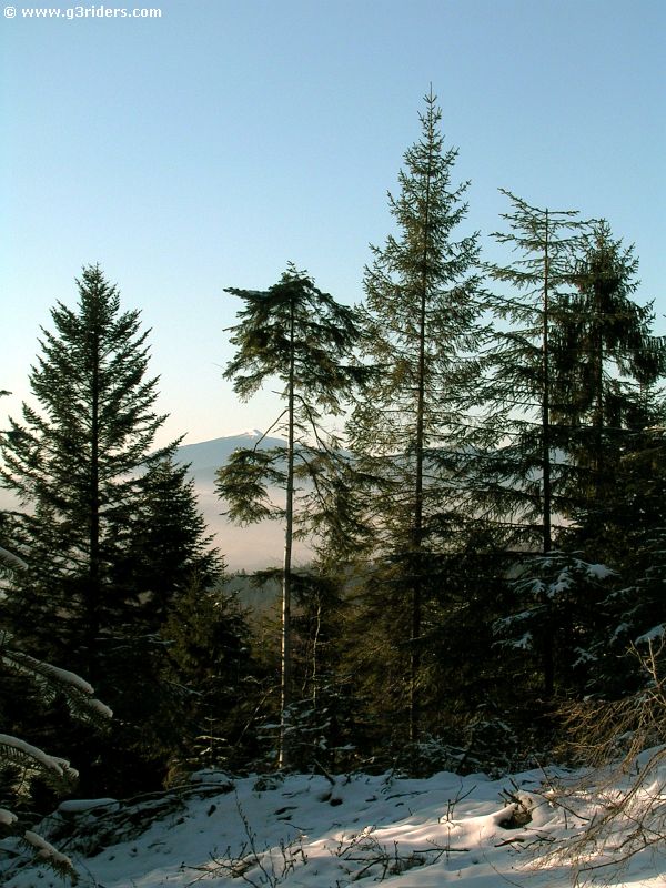 DSCN5910_g3r