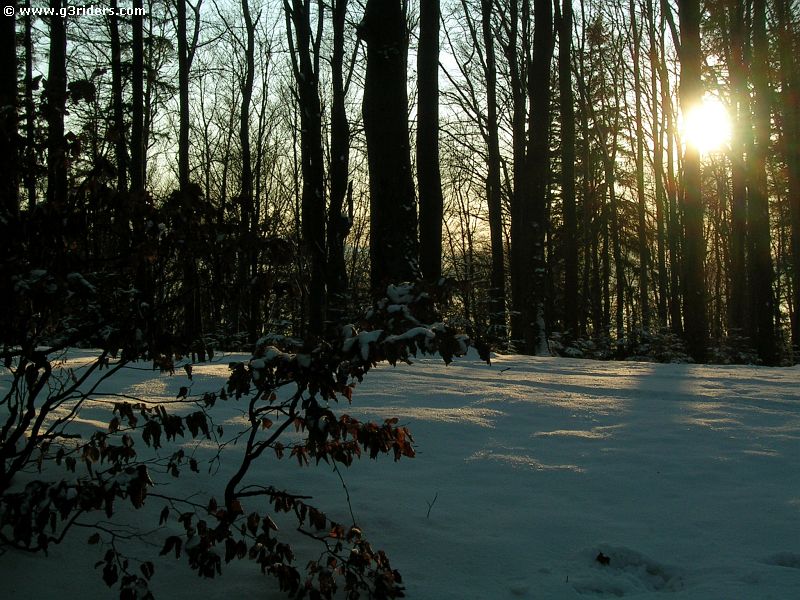 DSCN5953_g3r