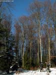 DSCN5912_g3r