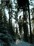 DSCN5921_g3r