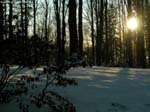 DSCN5953_g3r